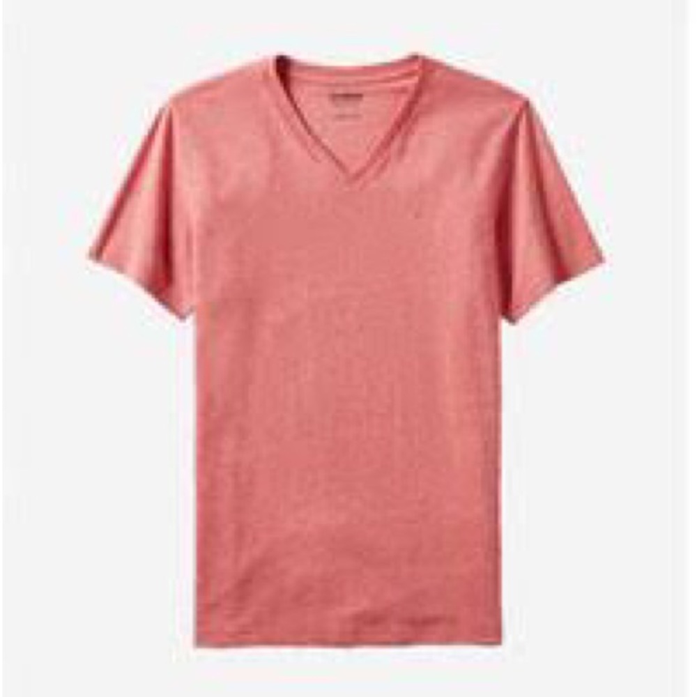 NWOT Men’s Express Stretch Short Sleeve Slim V Neck Shirt